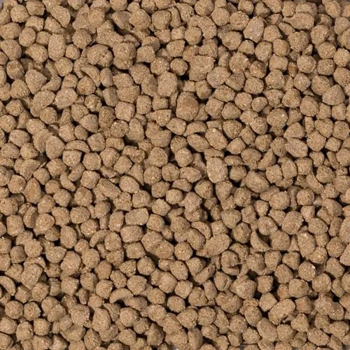 Beaphar Care+ Criceto Nano Mangime 250 g Fibre
