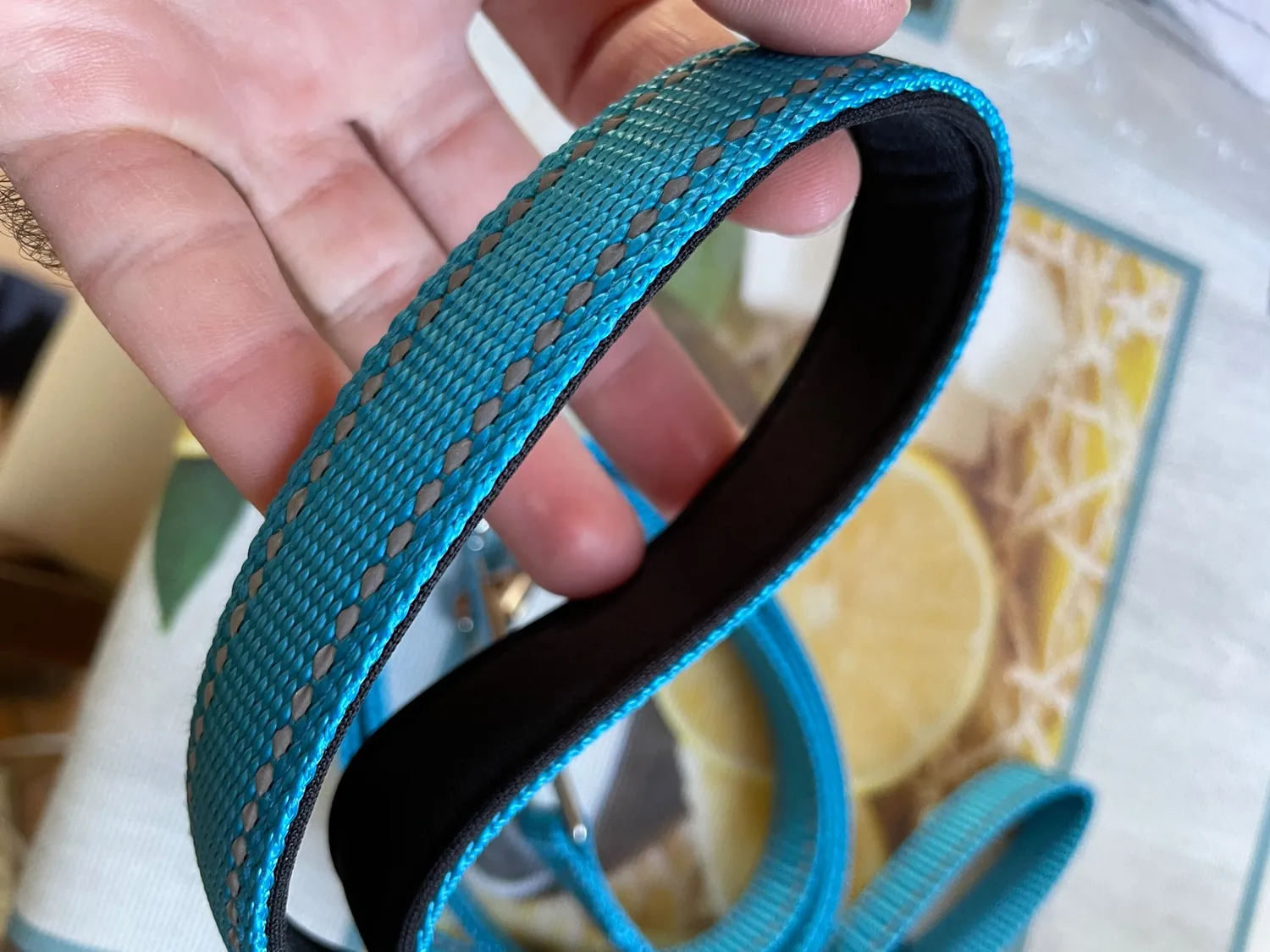 Joytale Guinzaglio Catarifrangente Turchese 1,8 m x 2,5 cm Imbottito