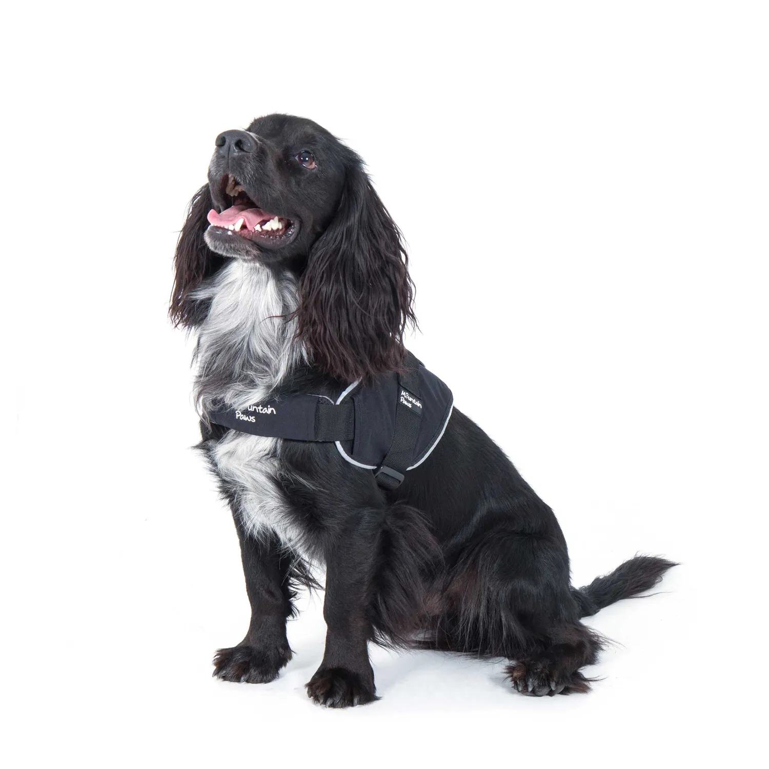 Mountain Paws Extra Tough pettorina cane robusta