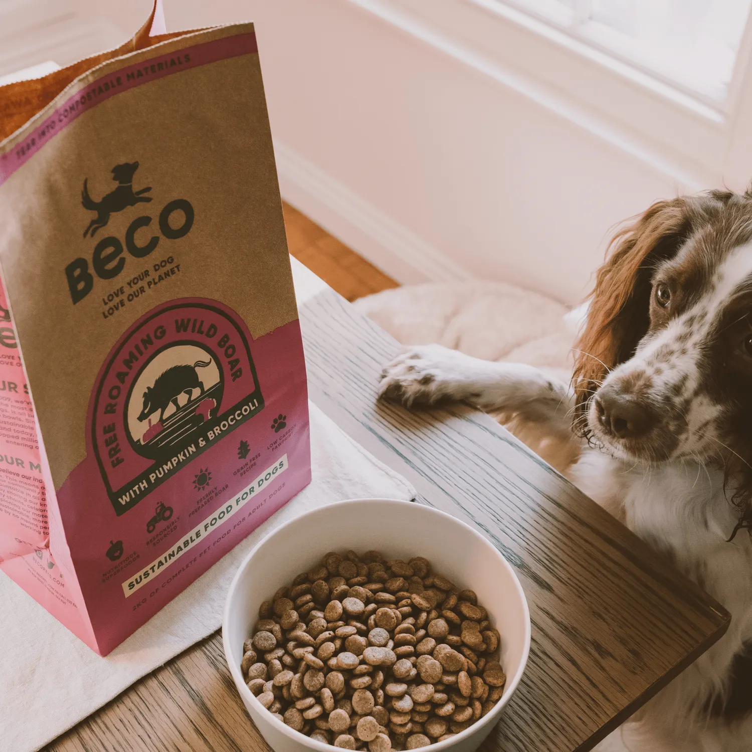Beco Pets Cinghiale crocchette cane grain free 2 kg zucca