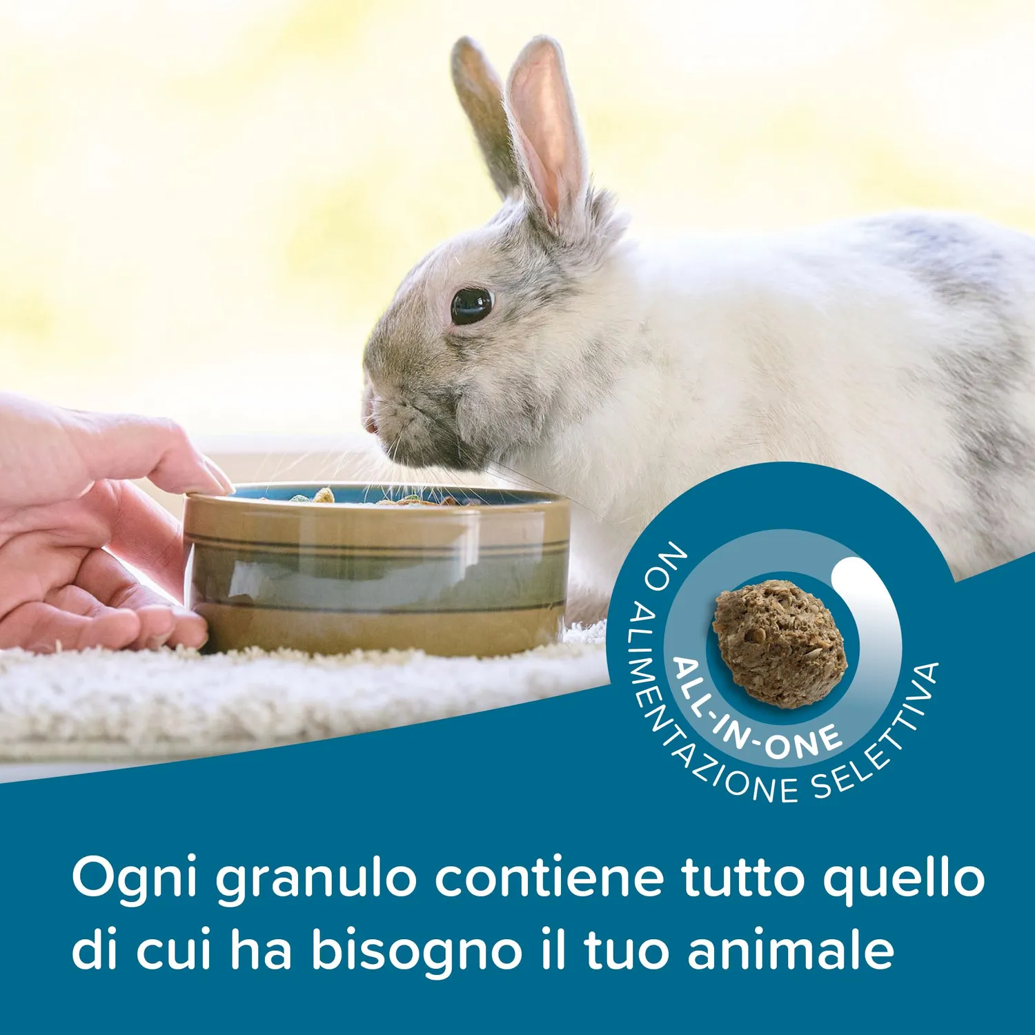 Beaphar CARE+ Senior Rabbit Mangime 1,5 kg senza zuccheri