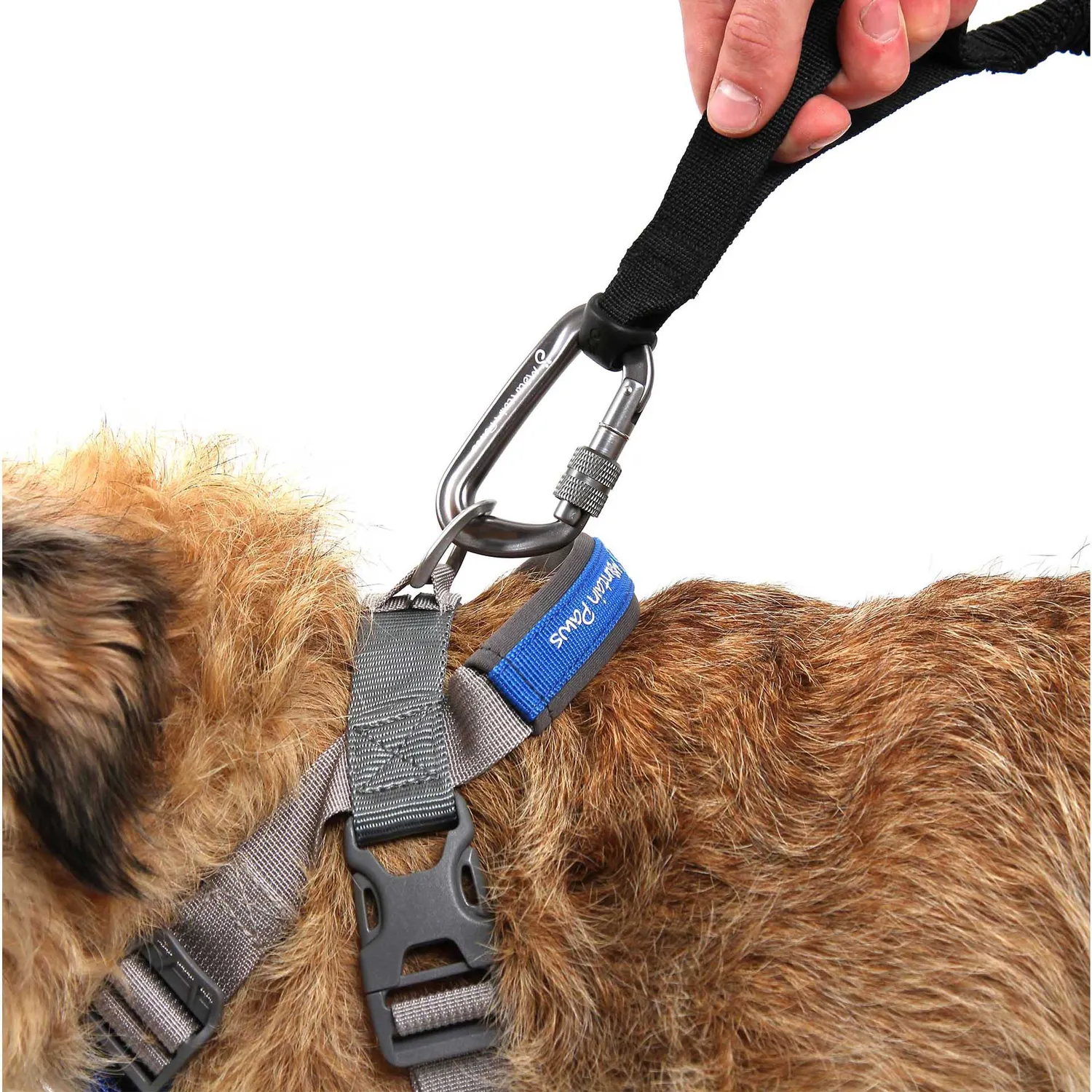 Mountain Paws Bungee Dog Lead guinzaglio elastico nero mani libere