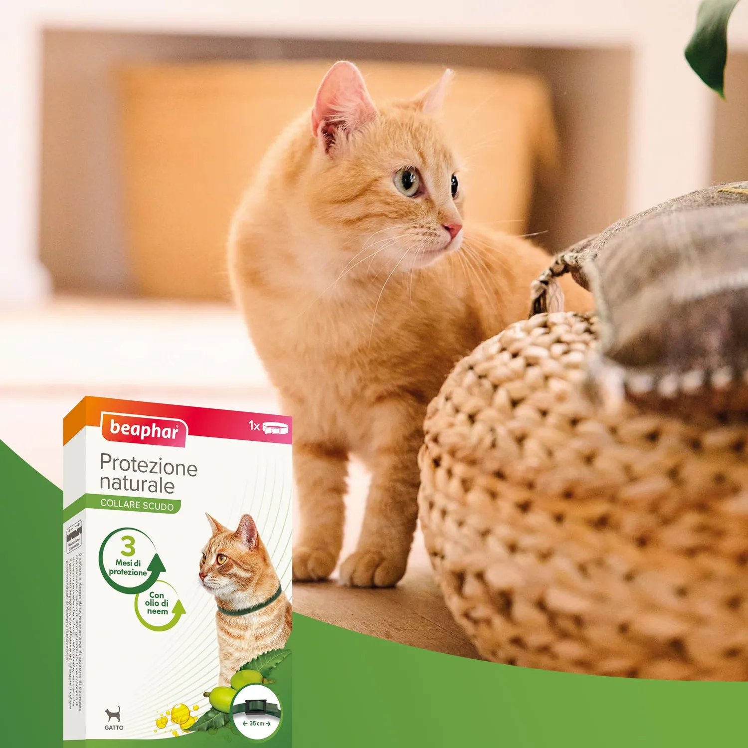 Beaphar Protezione Naturale collare gatto 35 cm olio neem