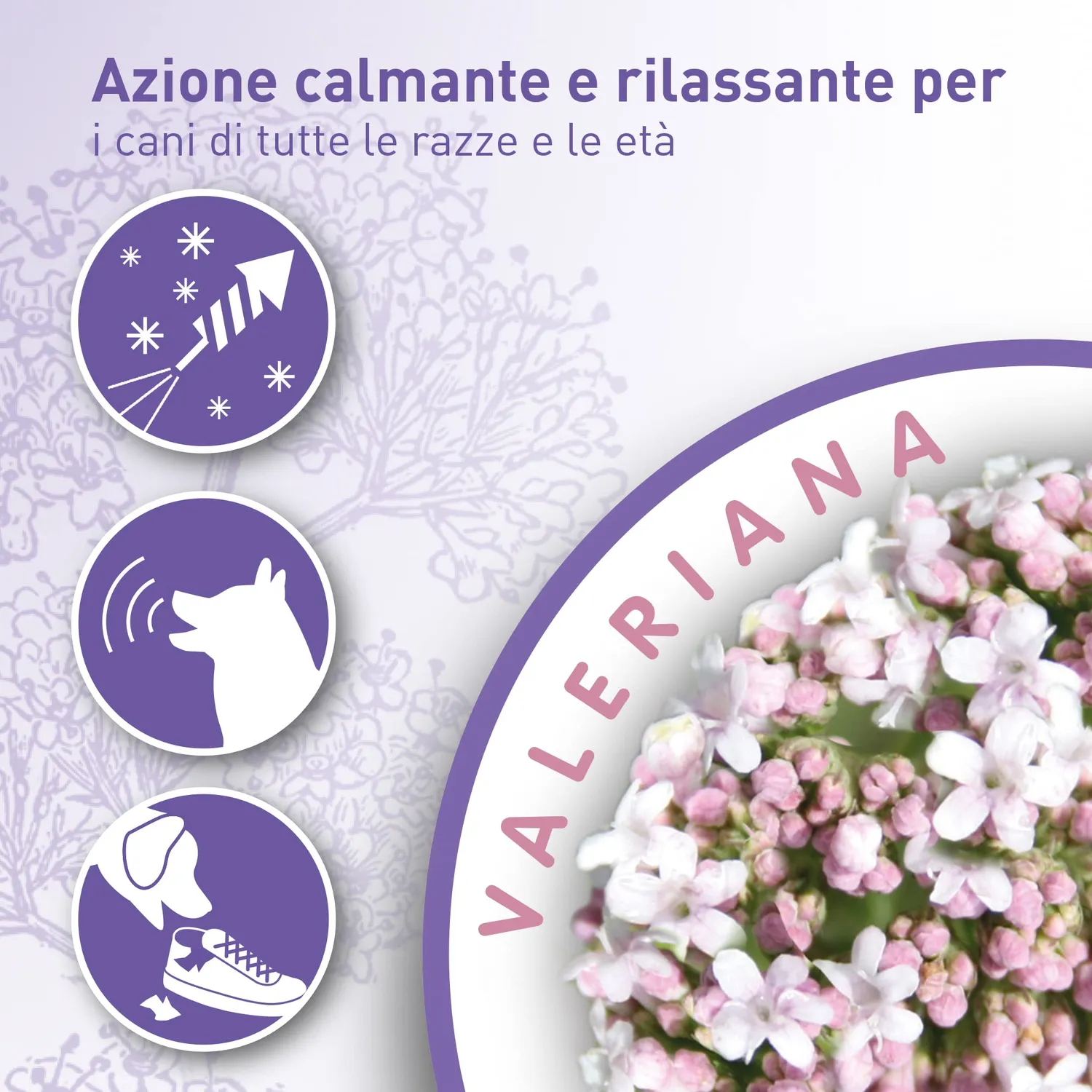 Beaphar No Stress collare calmante 65 cm grigio valeriana