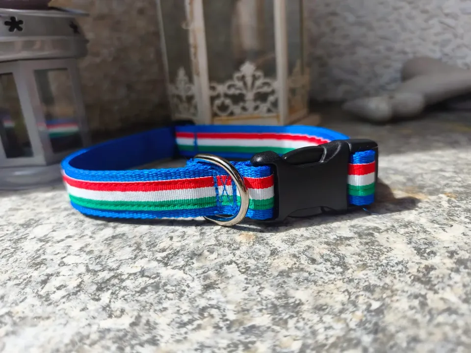 Anja for Dogs Italia collare cane regolabile turchese