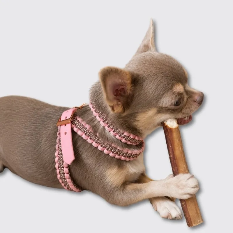 LabArt Dog Toy pettorina cane paracord mini