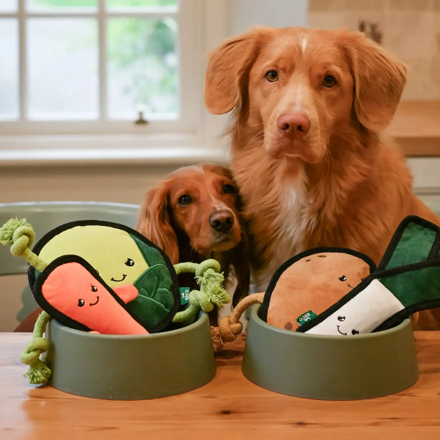 Beco Pets Carrie Carota peluche cane con squeaker e corda