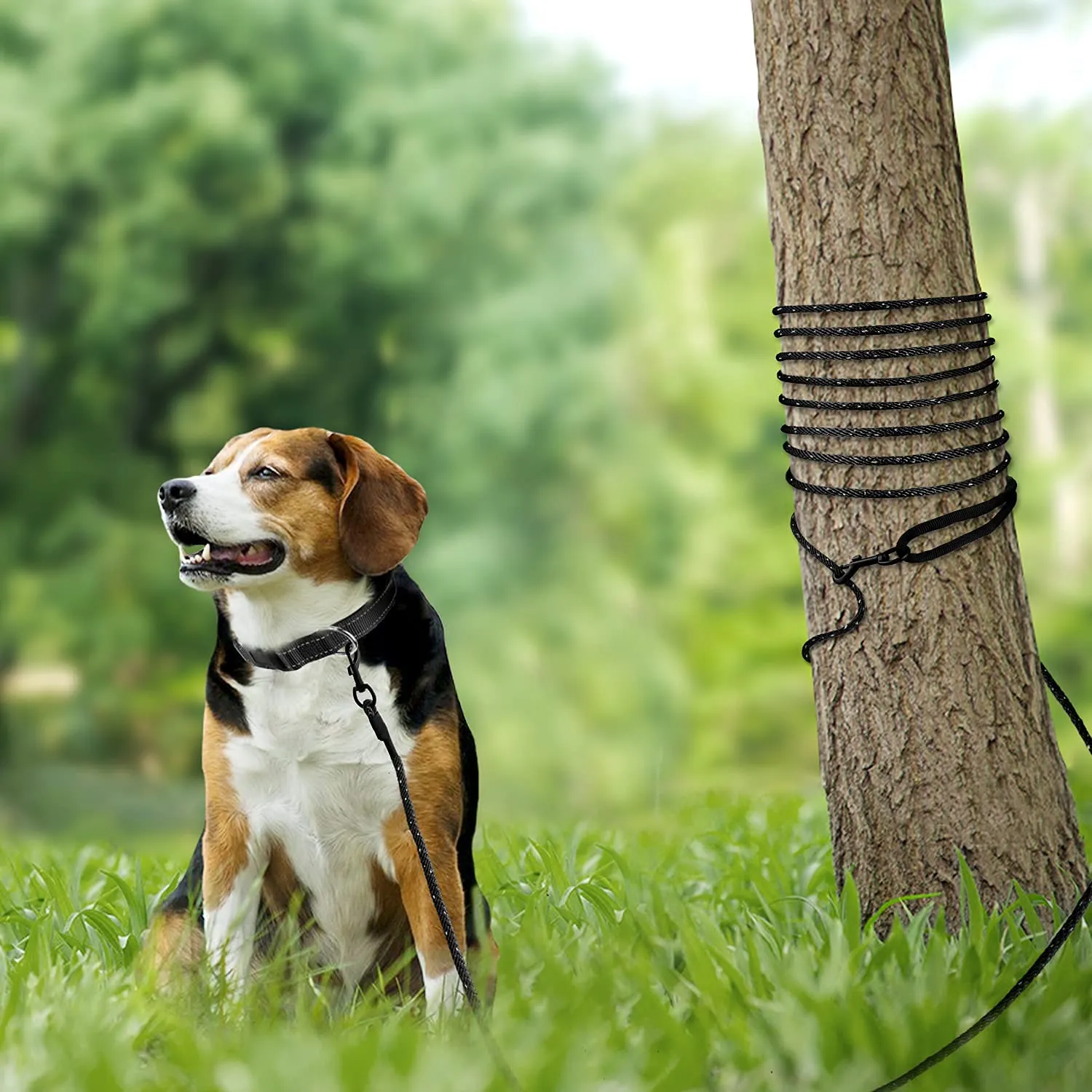 Joytale Guinzaglio Addestramento Cane 10 m nero riflettente
