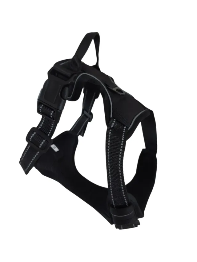 Anja for Dogs Comfort pettorina nera imbottita regolabile