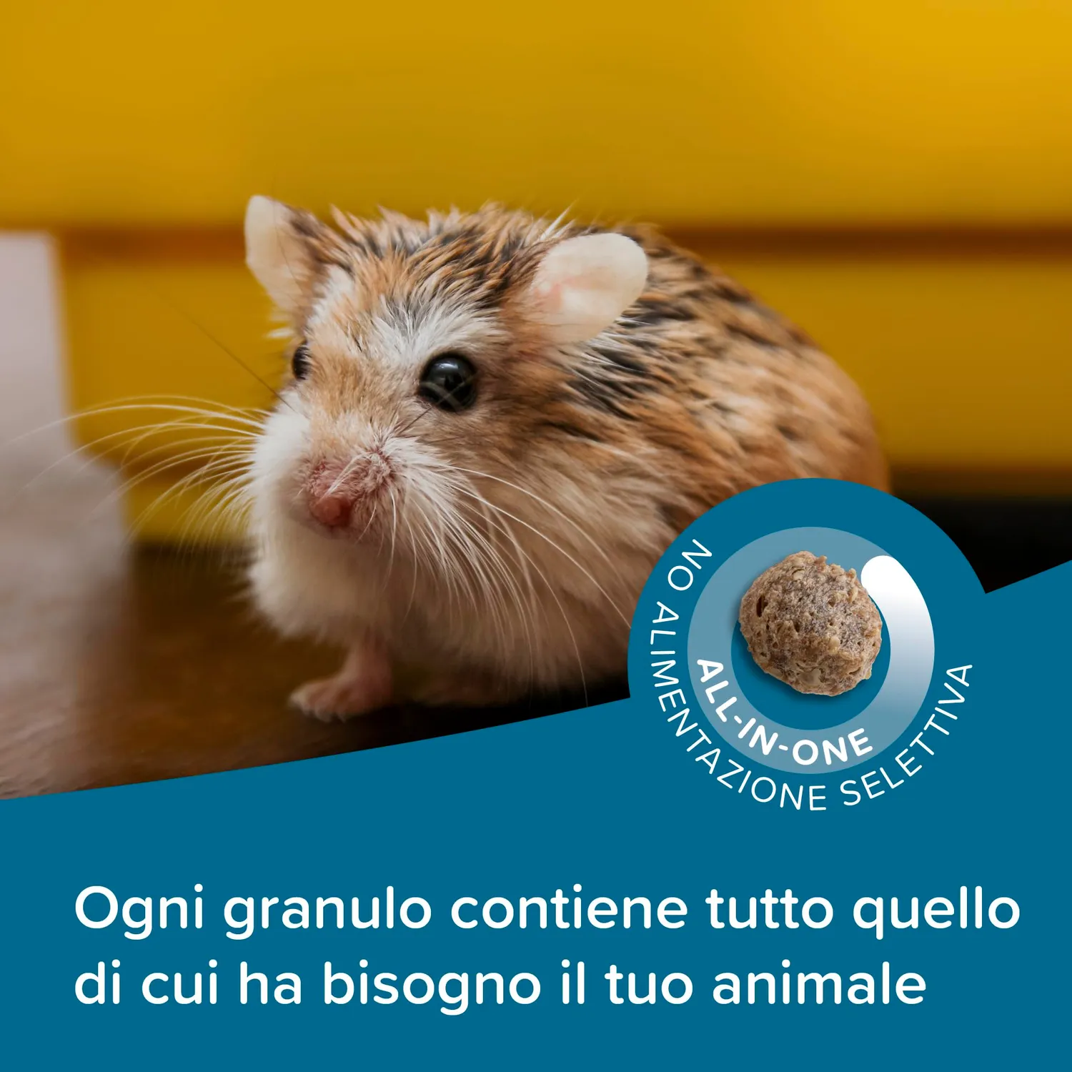 Beaphar Care+ Criceto Nano mangime estruso 700 g omega 3-6